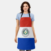 パラグアイ国旗 エプロン (着用した状態)