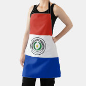 パラグアイ国旗 エプロン (インサイチュ)