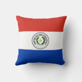 パラグアイ国旗 クッション (裏面)