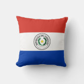 パラグアイ国旗 クッション (正面)