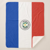 パラグアイ国旗 シェルパブランケット (正面)