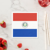 パラグアイ国旗 スタンダードカクテルナプキン (インサイチュ)