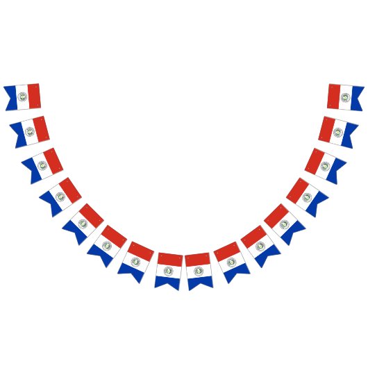 パラグアイ国旗 バンティングフラッグ (全)