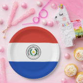 パラグアイ国旗 ペーパープレート (パーティー)