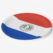 パラグアイ国旗 ペーパープレート (アングル)