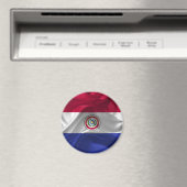 パラグアイ国旗 マグネット (インサイチュ (食洗機))