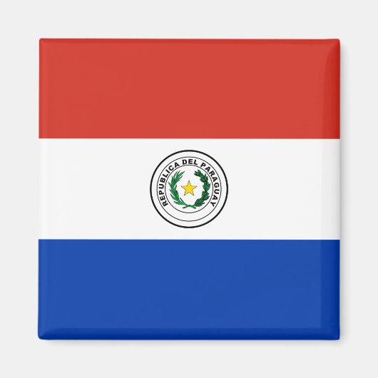 パラグアイ国旗 マグネット (正面)