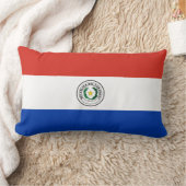 パラグアイ国旗 ランバークッション (ブランケット)