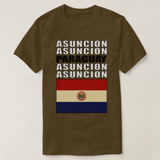 パラグアイ国旗 Tシャツ (デザイン正面)