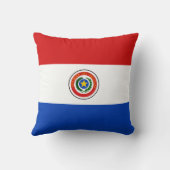 パラグアイ国旗x旗まくら クッション (裏面)