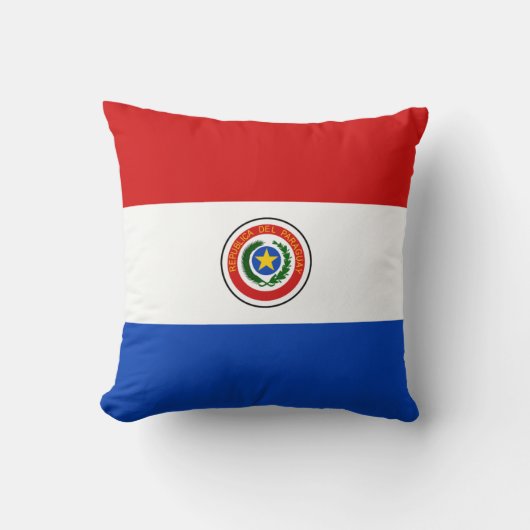 パラグアイ国旗x旗まくら クッション (正面)