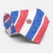 パラグアイ ネクタイ (ロール)