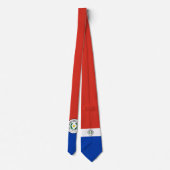 パラグアイ ネクタイ (裏面)