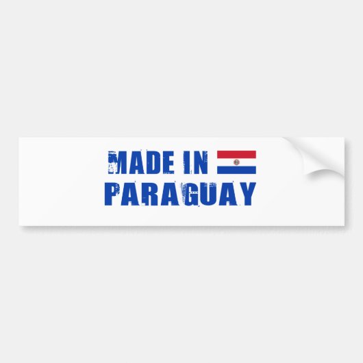 パラグアイ バンパーステッカー (正面)