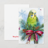 パラケットとクリスマスリボンクリスマスカード サンキューカード (正面/裏面)