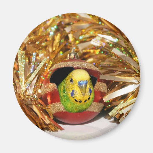 パラケートクリスマス マグネット (正面)