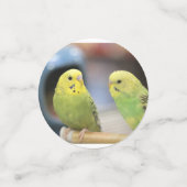 パラケート コンフェッティ (スモール正面)