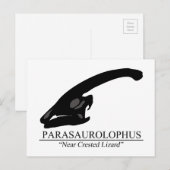 パラサロフォススカル ポストカード (正面/裏面)