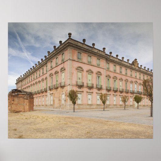 パラシオ実在デリオフィリオ ポスター (正面)