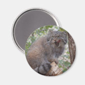 パラスねこ磁石 マグネット (正面/裏面)