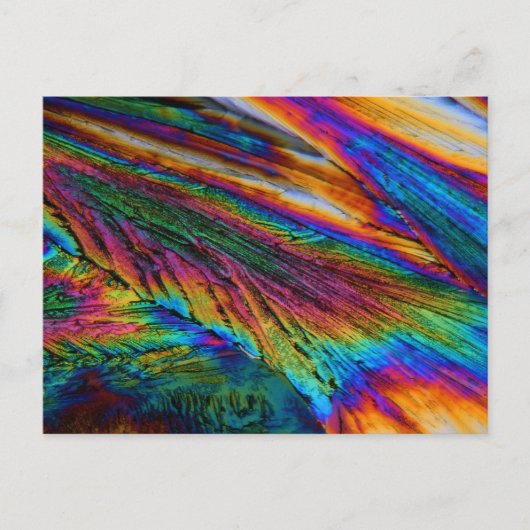 パラセタモール ポストカード (正面)