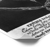 パラセルス ポスター (角)