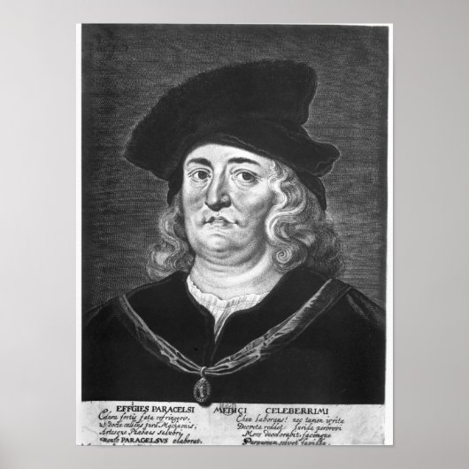 パラセルス ポスター (正面)