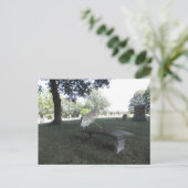 パラソル ポストカード (スタンド正面)