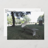 パラソル ポストカード (正面/裏面)