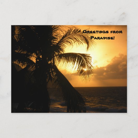 パラダイスからの挨拶 ポストカード (正面)