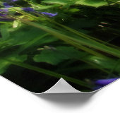 パラダイスが見つけたポスター ポスター (角)