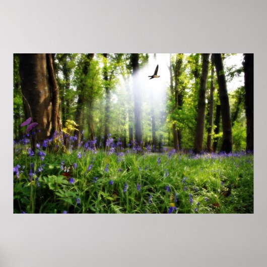 パラダイスが見つけたポスター ポスター (正面)