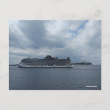 パラダイスに二重固定