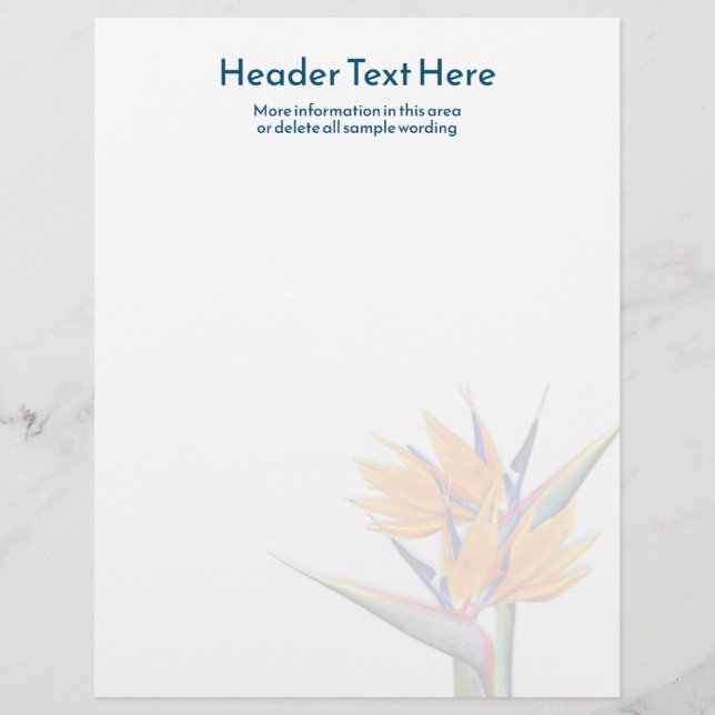 パラダイスのオレンジバ空白のードライティング紙 レターヘッド (正面)