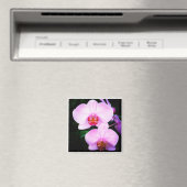 パラダイスのピンクの蘭 マグネット (インサイチュ (食洗機))