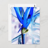 パラダイスのブルーバード ポストカード (正面/裏面)