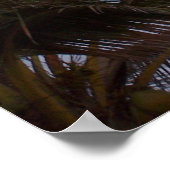 パラダイスのヤシの木 ポスター (角)