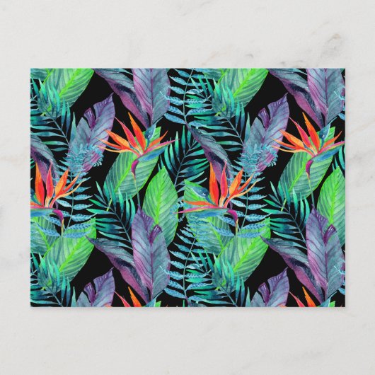 パラダイスの水色の鳥2 ポストカード (正面)