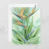 パラダイスの熱帯花絵を描の鳥 – 数々の ポストカード (正面/裏面)