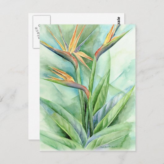 パラダイスの熱帯花絵を描の鳥 – 数々の ポストカード (正面/裏面)