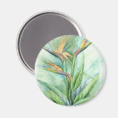 パラダイスの熱帯花絵を描の鳥 – 数々の マグネット (正面/裏面)