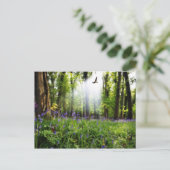 パラダイスの葉書 ポストカード (スタンド正面)