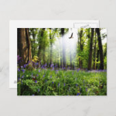 パラダイスの葉書 ポストカード (正面/裏面)