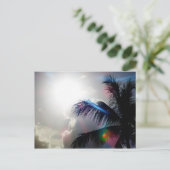 パラダイスの陽光 ポストカード (スタンド正面)