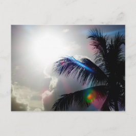 パラダイスの陽光 ポストカード