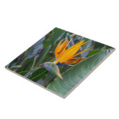 パラダイスの鳥の花の陶芸瓦 タイル (側面)