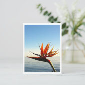 パラダイスの鳥はがき ポストカード (スタンド正面)