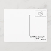 パラダイスの鳥はがき ポストカード (裏面)