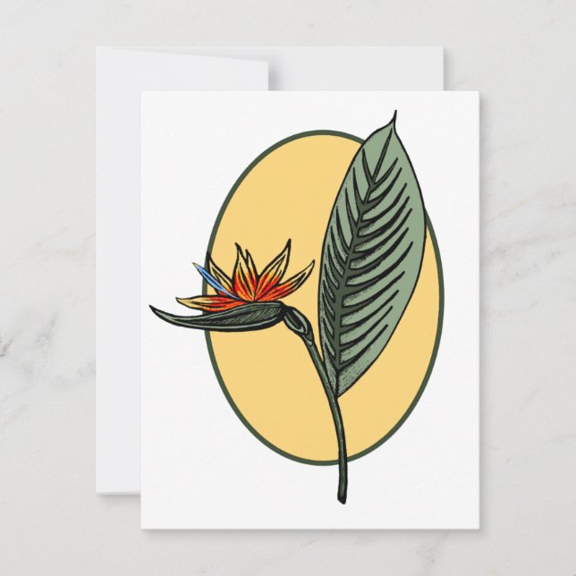 パラダイスの鳥 (正面)