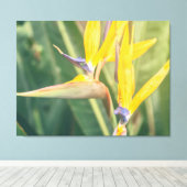 パラダイスの鳥 キャンバスプリント (インサイチュ (ウッドフロア))